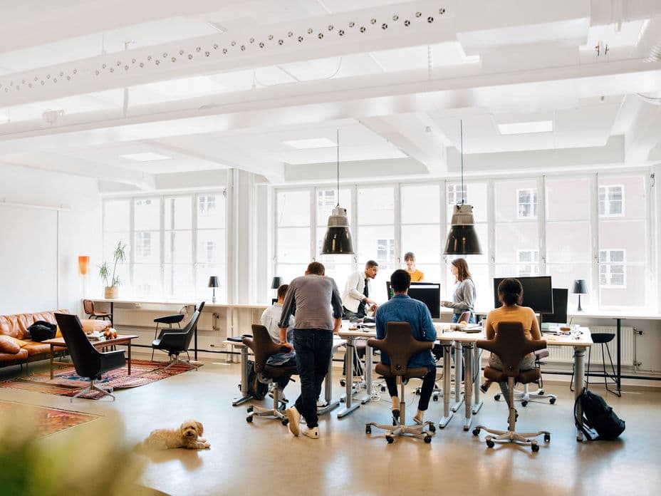 Modern office with people collaborating at desks, large windows, and a dog lying on the floor. Bright, open space with stylish furniture.