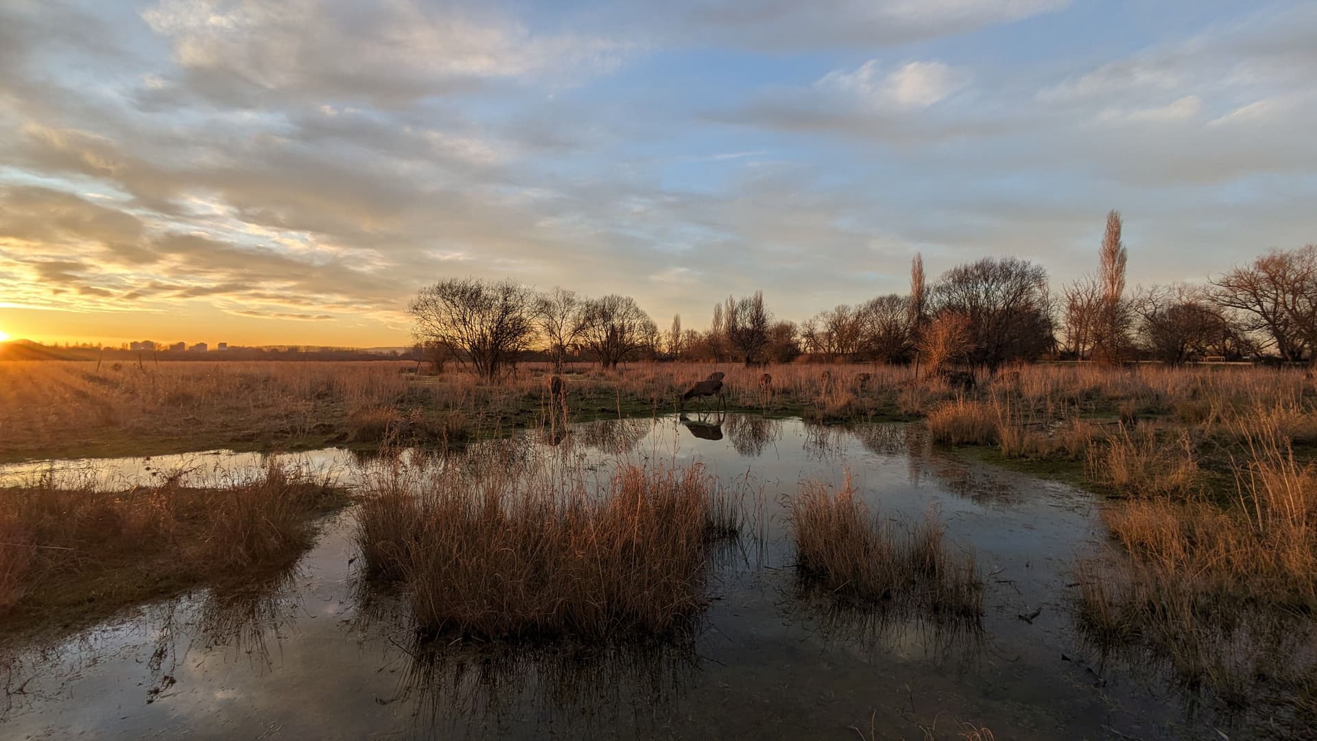 Recorrido de las rutas humedales de Vitoria