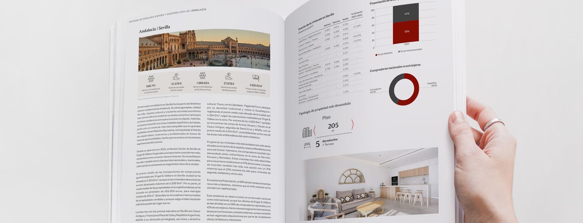 INFORME MERCADO ESPAÑA Y ANDORRA 2024-2025 2