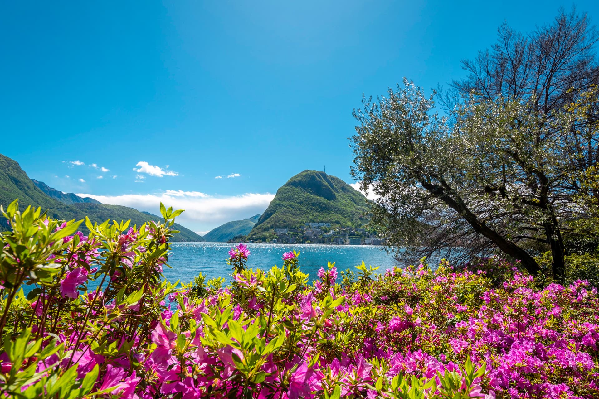 View over Luganese and Ticino