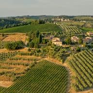 Aerial view of a Tuscan landscape with vineyards, olive groves, and a cluster of rustic buildings surrounded by rolling hills under a clear sky.