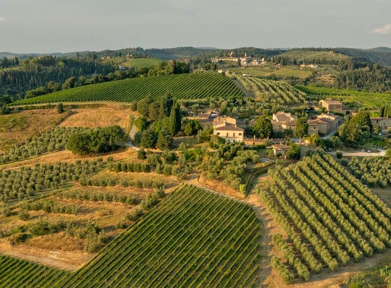 Luftaufnahme einer toskanischen Landschaft mit Weinbergen, Olivenhainen und einer Ansammlung rustikaler Gebäude, umgeben von sanften Hügeln unter einem klaren Himmel.