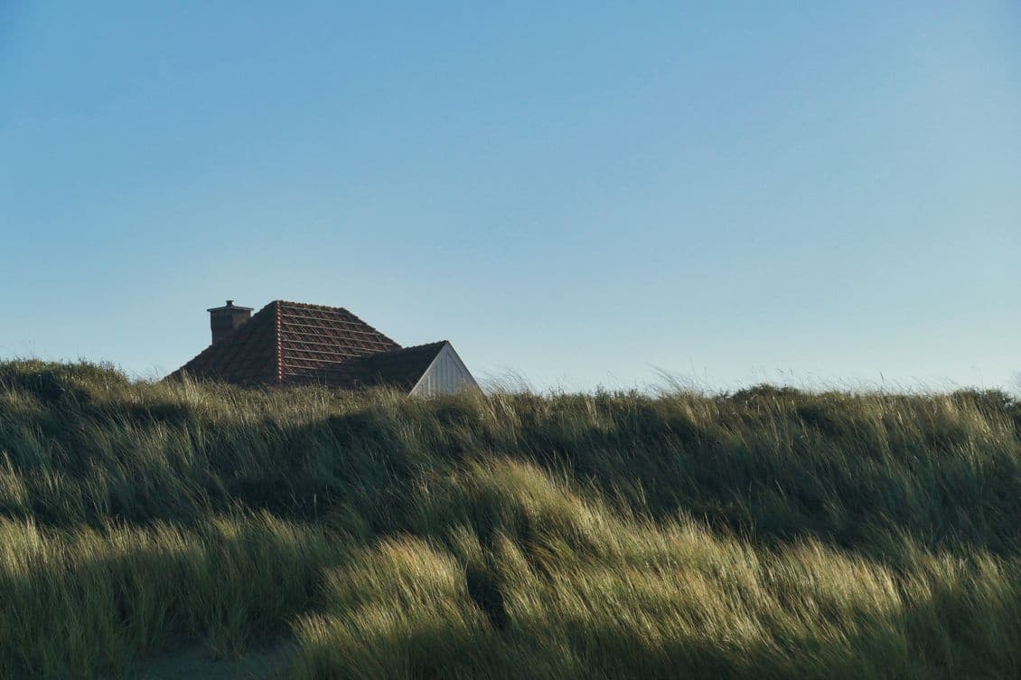 A house with a red-tiled roof partly hidden behind tall, windswept grass dunes under a clear blue sky.