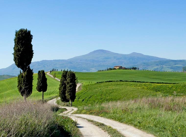 A winding dirt path through rolling green hills with scattered cypress trees under a clear blue sky. A distant mountain is visible.