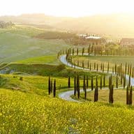 A winding road lined with cypress trees leads to a villa on a sunlit hill, surrounded by lush green fields and rolling hills in the distance.