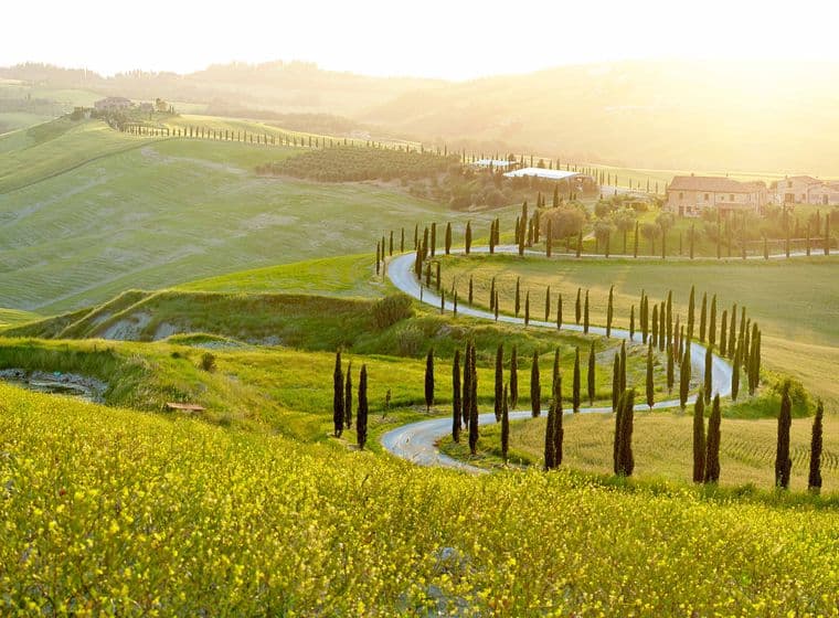 Eine gewundene Straße, gesäumt von Zypressenbäumen, führt zu einer Villa auf einem sonnenbeschienenen Hügel, umgeben von üppigen grünen Feldern und hügeligen Landschaften in der Ferne.